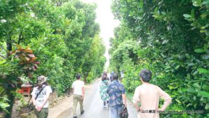 沖縄へ二泊三日で社員旅行に行ってきました！