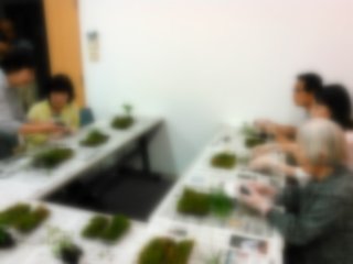苔玉教室(画像処理済)