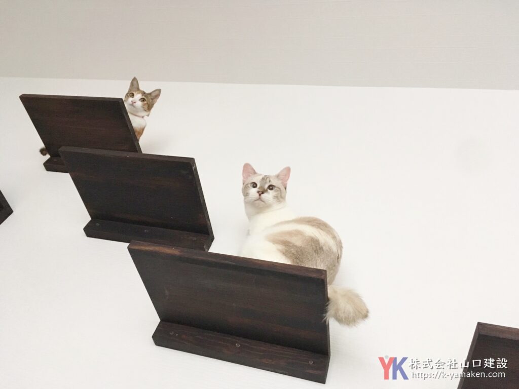 照明と色使いにこだわった、愛猫と暮らすヴィンテージスタイルマンション（練馬区 O様邸）