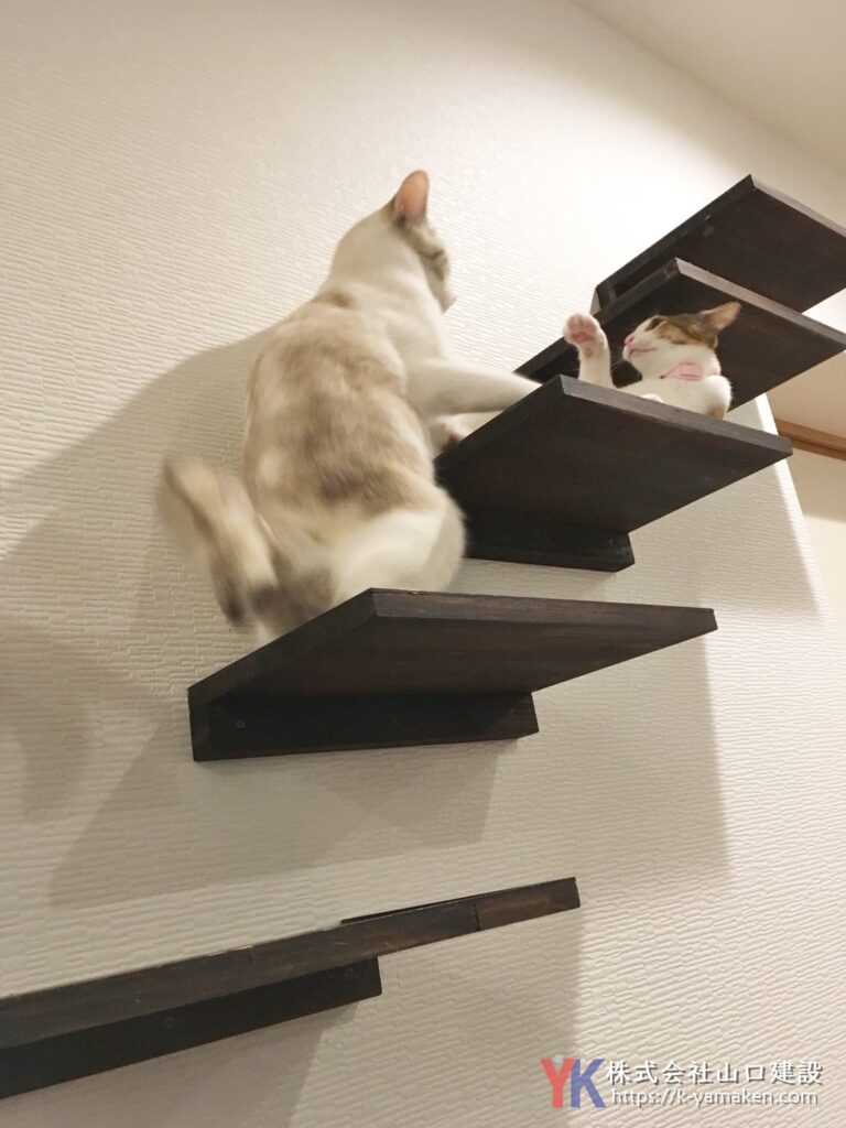 照明と色使いにこだわった、愛猫と暮らすヴィンテージスタイルマンション（練馬区 O様邸）