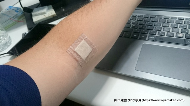 アイキャッチ画像