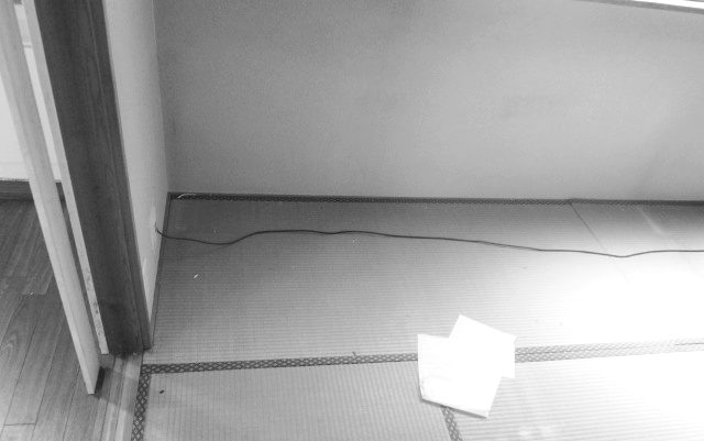 【4階建ての屋上付き中古戸建て住宅】購入に伴う改築で明るい日差しが降り注ぐ開放的なお住まいに一新（文京区 Y様）