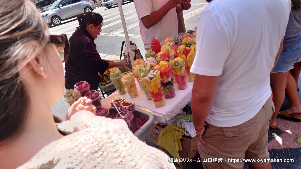 夏休みにロサンゼルス、ディズニーランドに行ってきました。