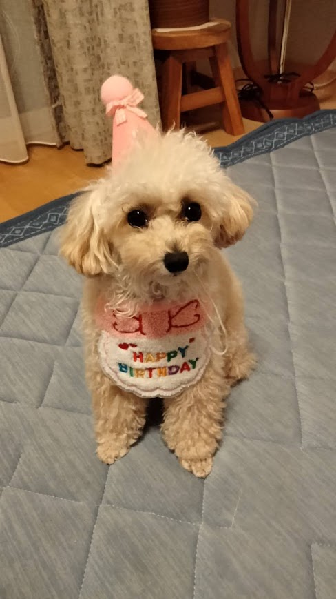 ハッピバースデイ！